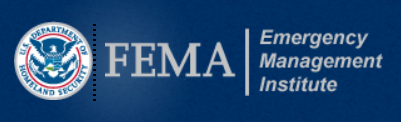 FEMA EMI logo image
